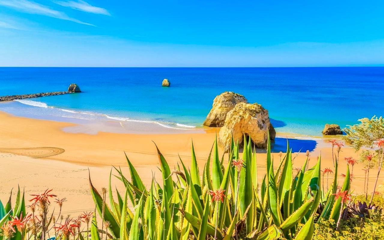 Paradise Sunshine Studio Portimão Dış mekan fotoğraf